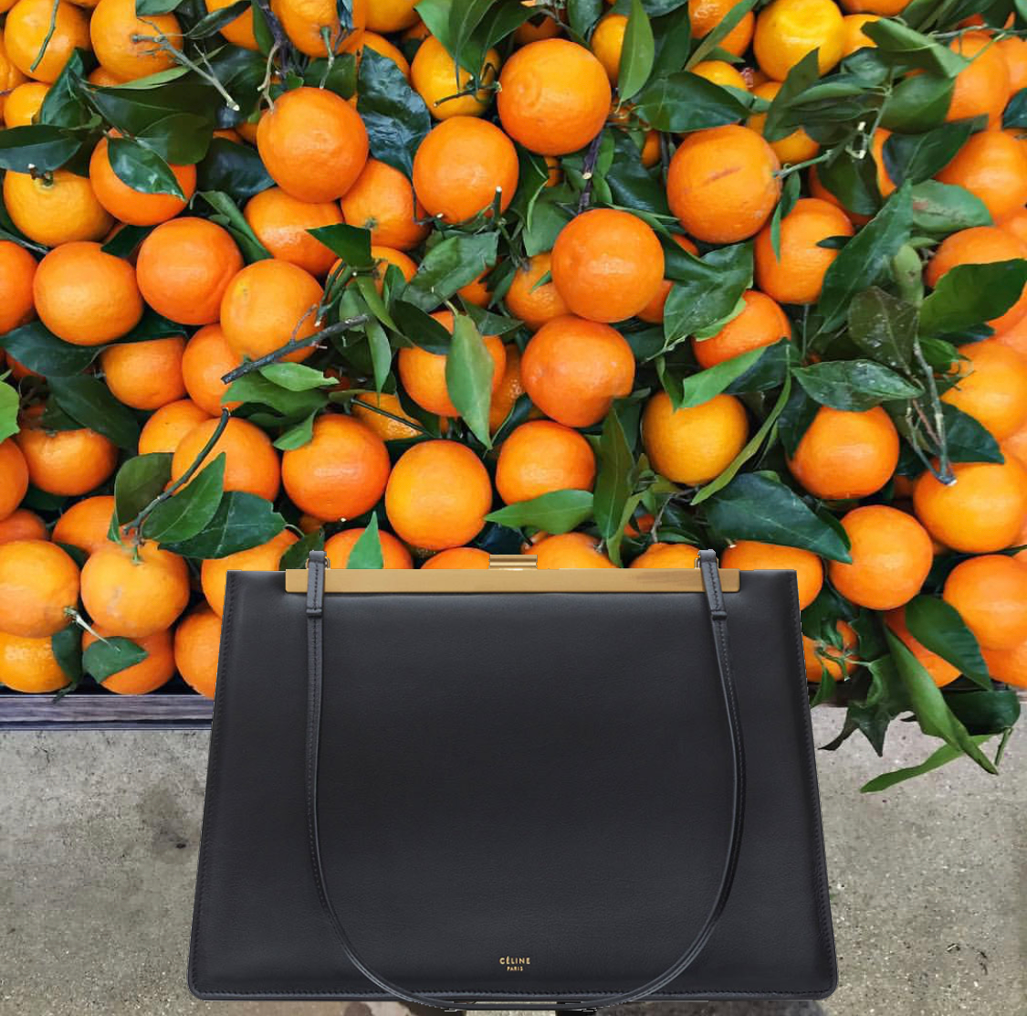 51B3DF41-A155-48A7-B323-