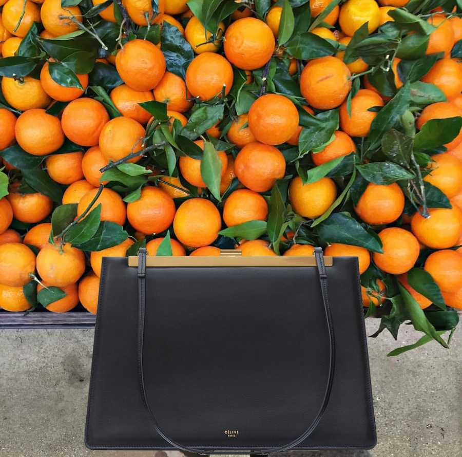 Celine Medium Claps Bag - Luxury Next Season 