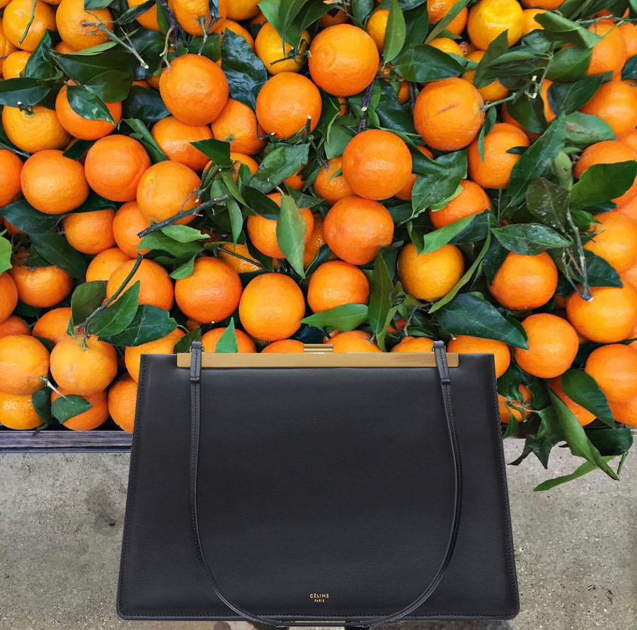 Celine Medium Claps Bag Luxury Fashion Clothing and Accessories