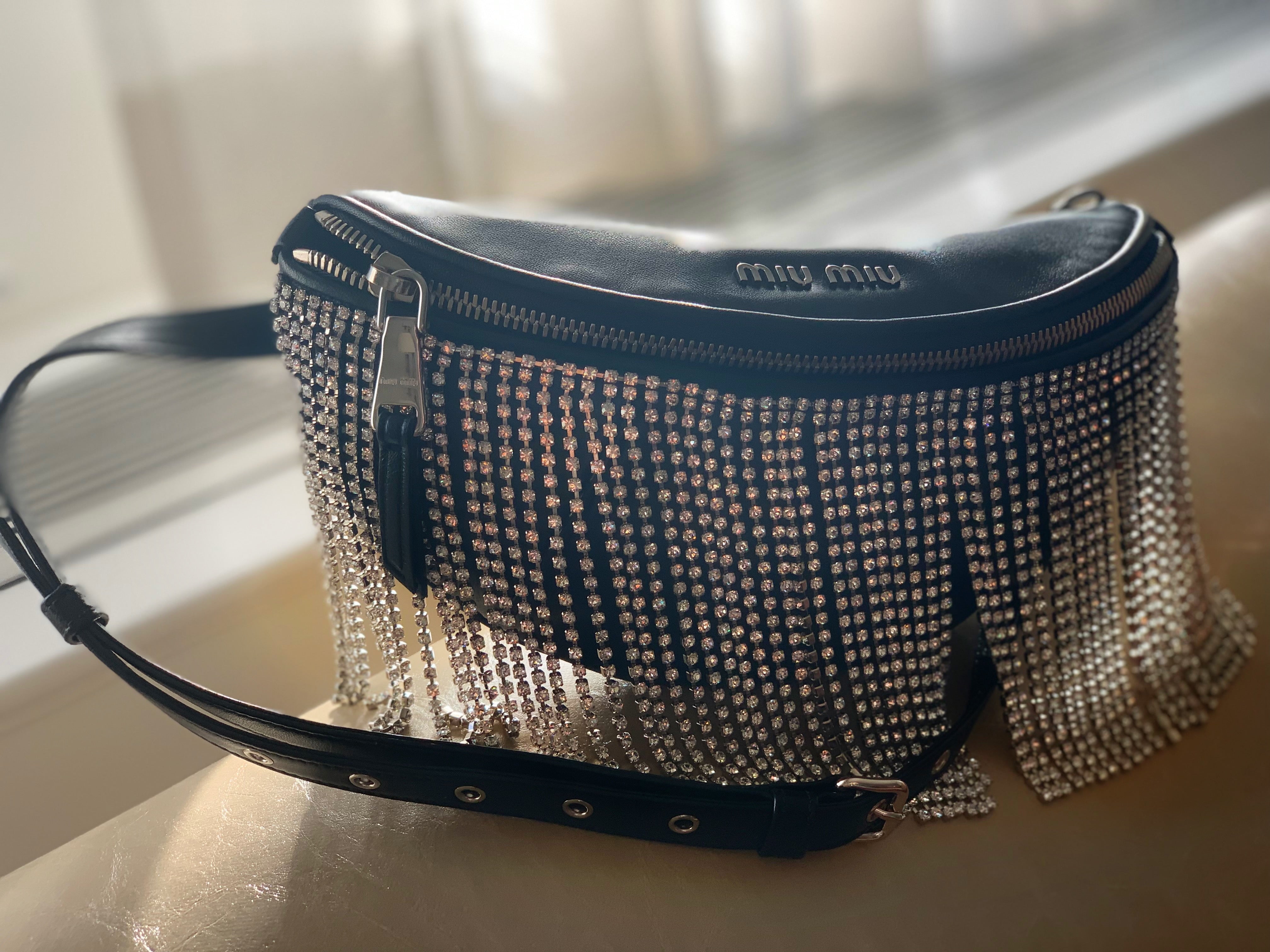 Miu Miu Crystal Belt Bag | Luxury Fashion Clothing and Accessories